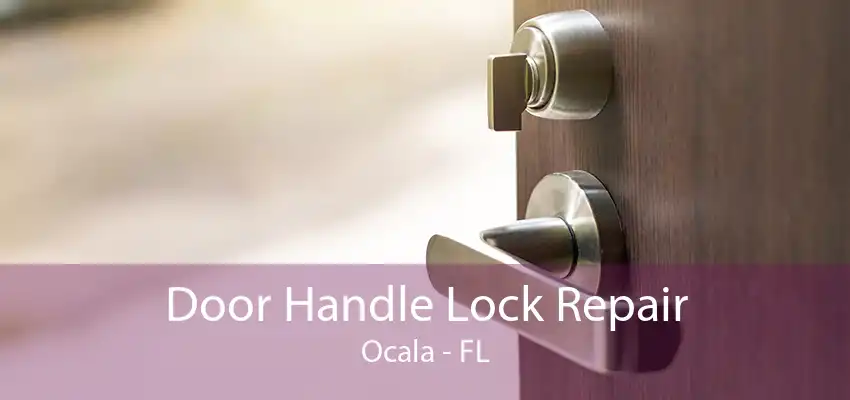 Door Handle Lock Repair Ocala - FL