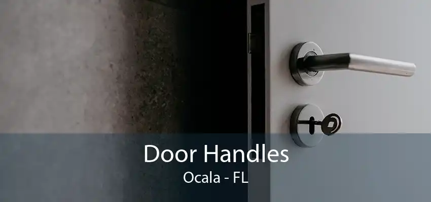 Door Handles Ocala - FL