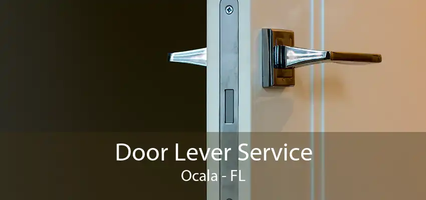 Door Lever Service Ocala - FL